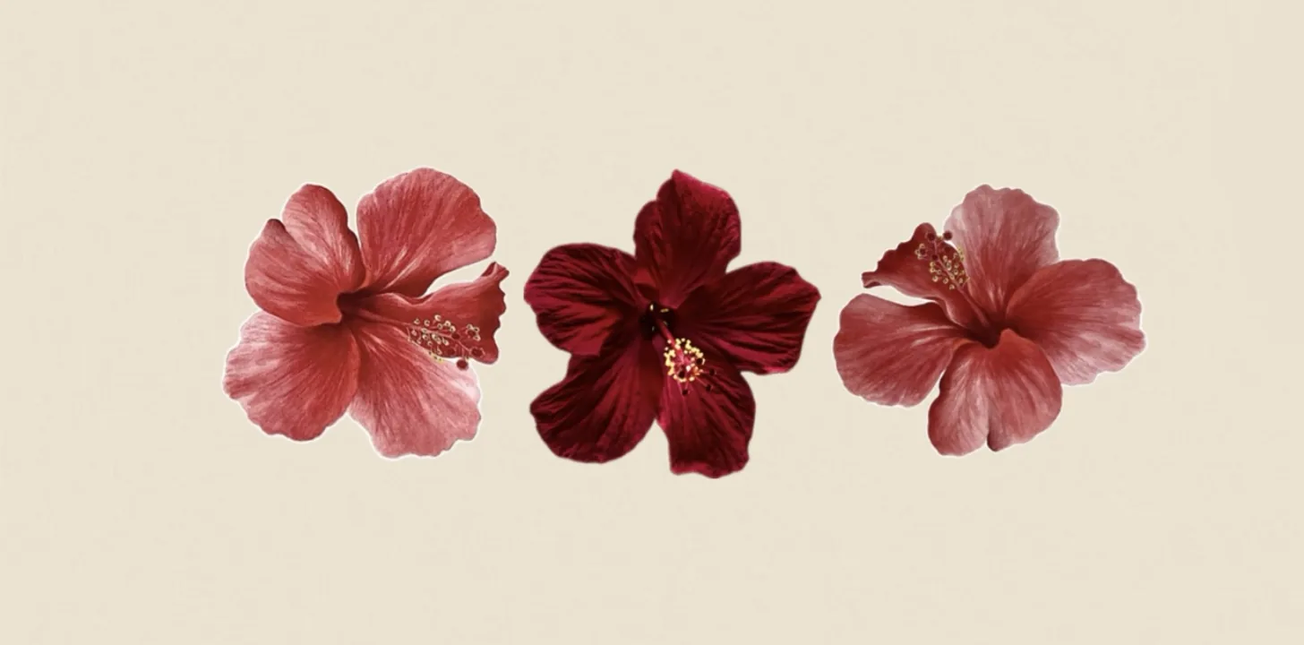 Cover image for Which Hawaii Island Deserves Your Time