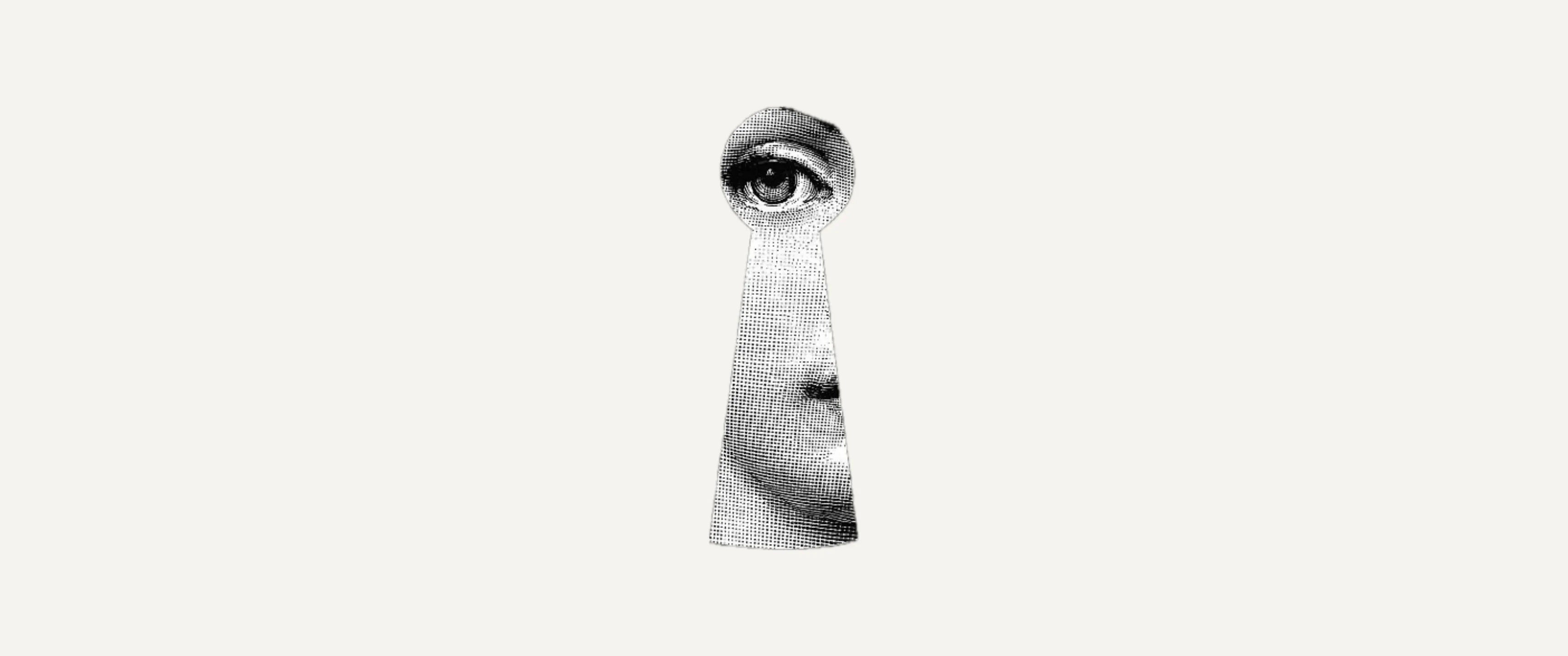 Cover image for The Surveillance Room